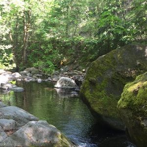 Meet your Posher, Mariella